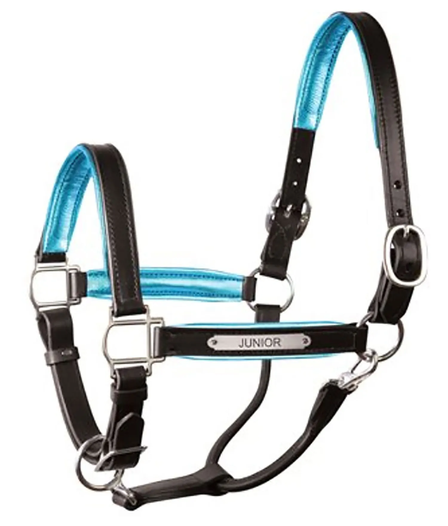 Clearance PERRIS LEATHER Perri’s® 1" Padded Leather Halter with Nameplate