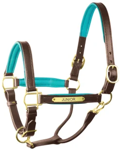 Clearance PERRIS LEATHER Perri’s® 1