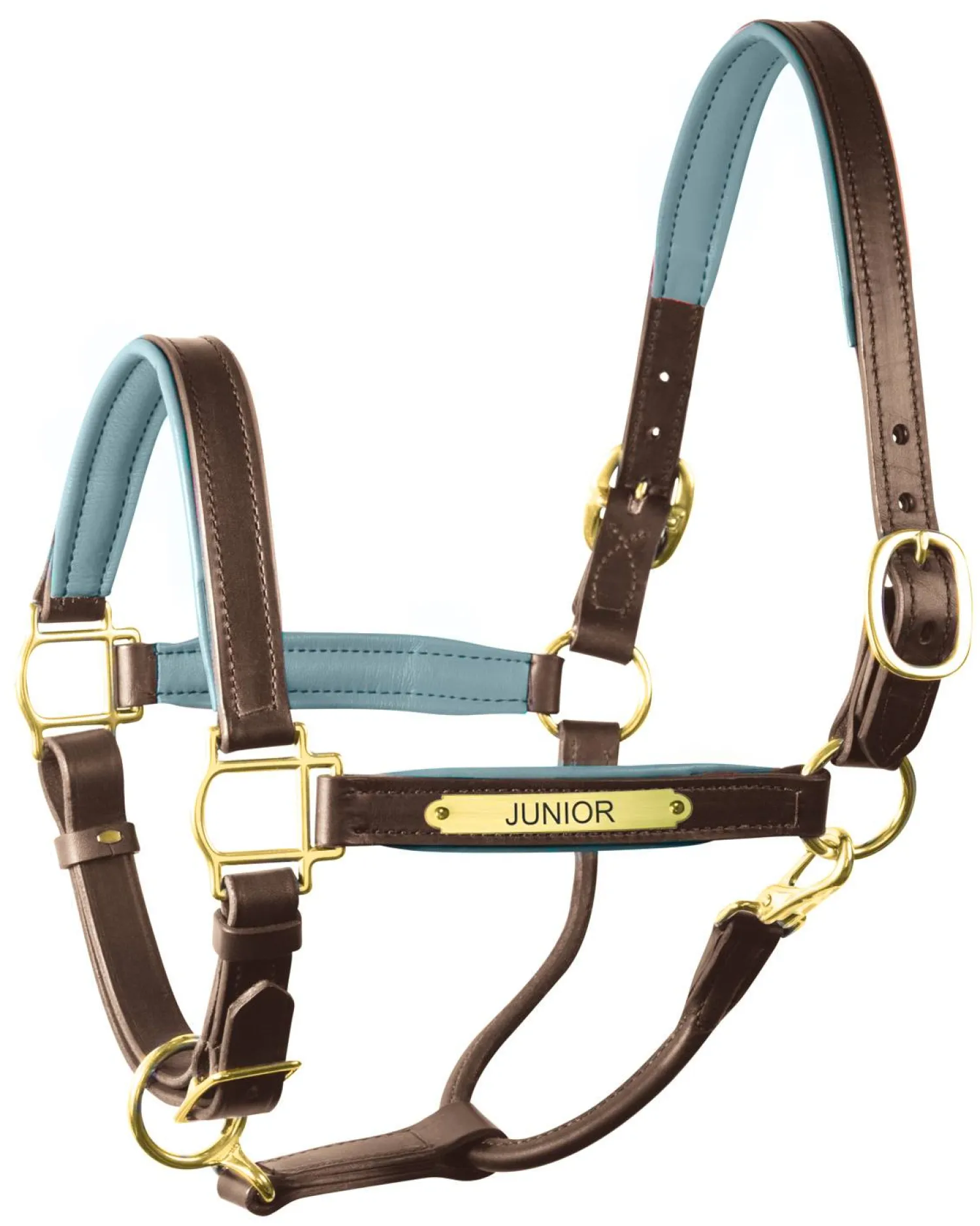 Clearance PERRIS LEATHER Perri’s® 1" Padded Leather Halter with Nameplate