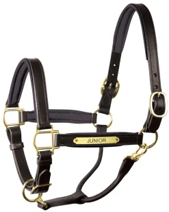 Clearance PERRIS LEATHER Perri’s® 1