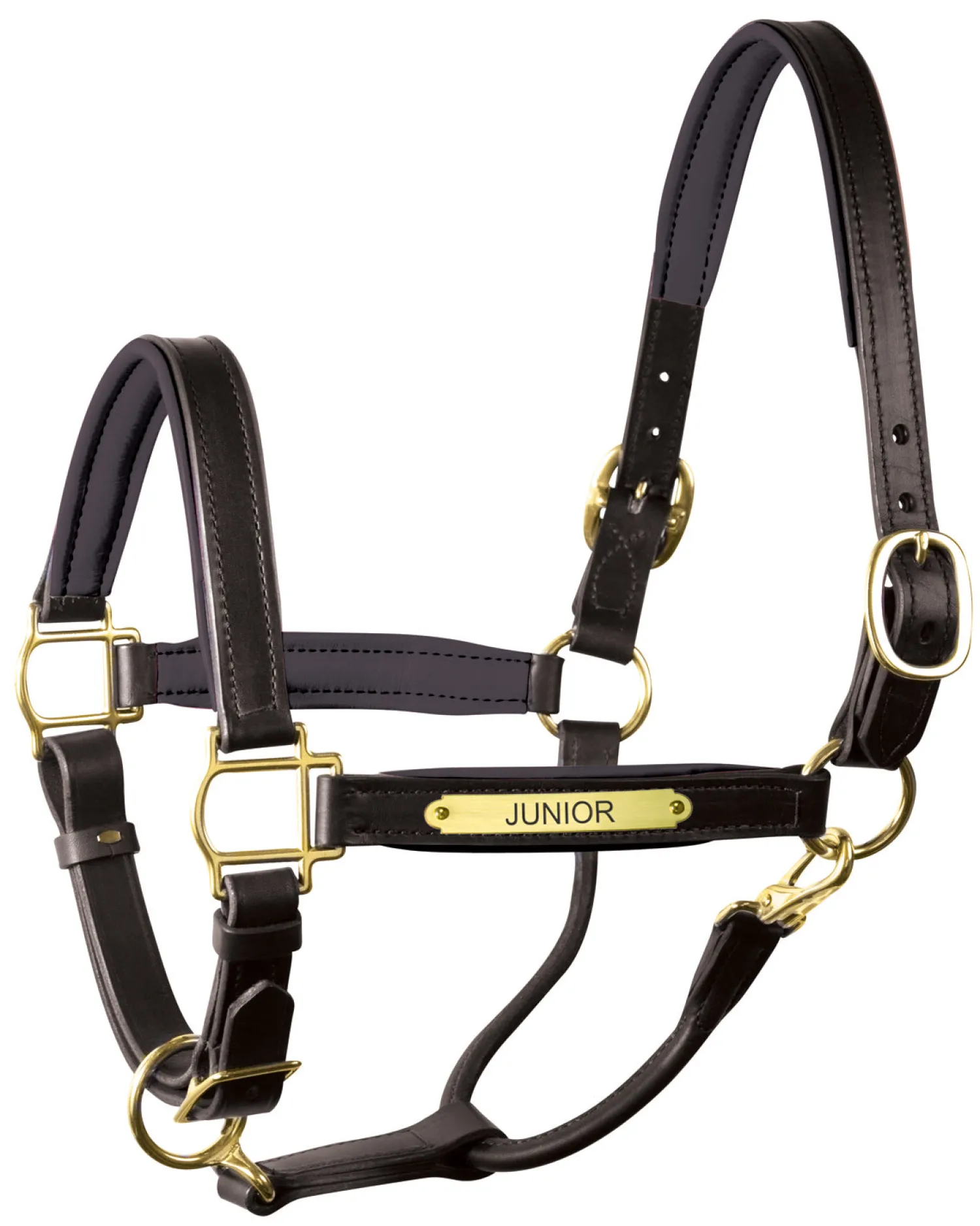 Clearance PERRIS LEATHER Perri’s® 1" Padded Leather Halter with Nameplate