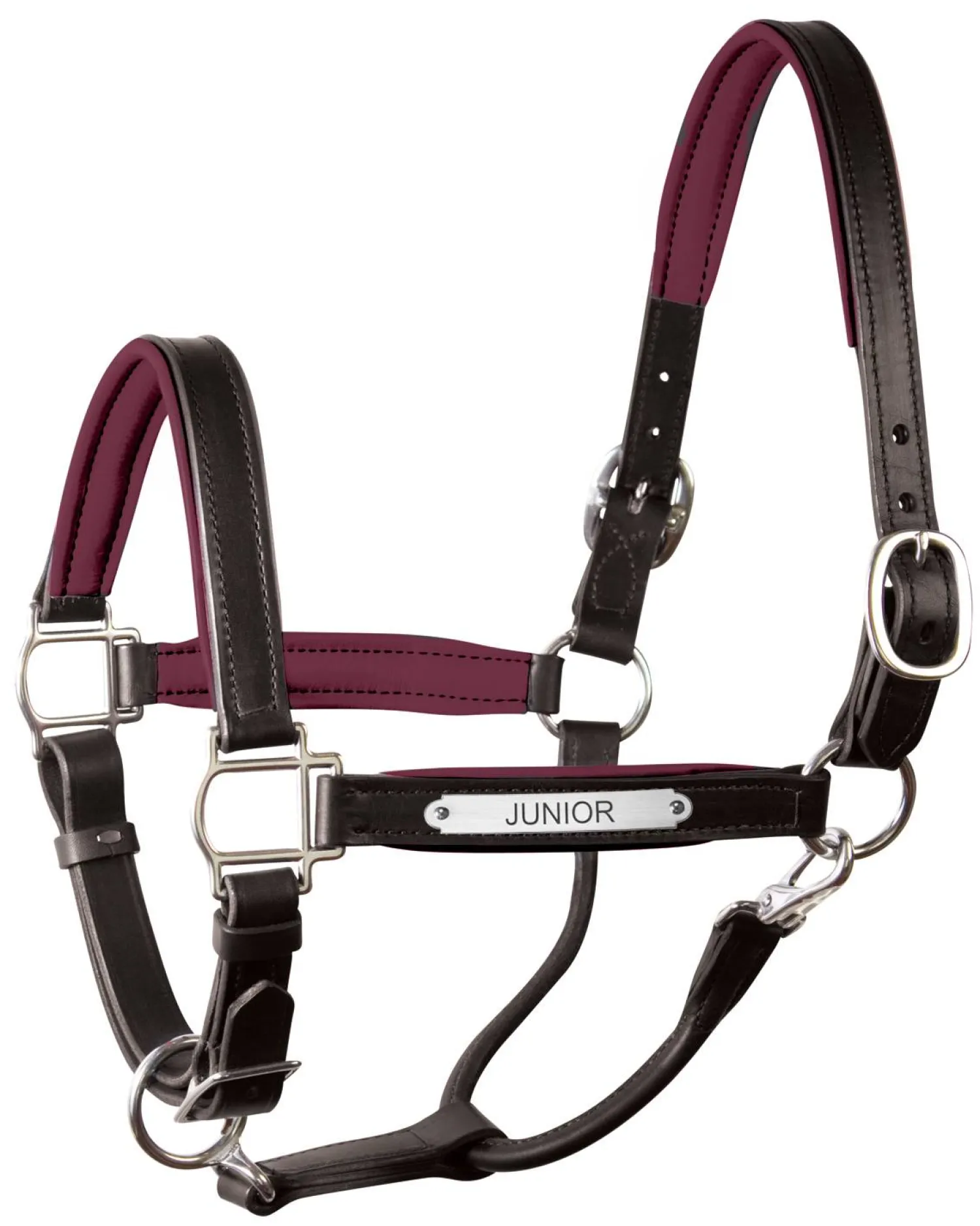 Clearance PERRIS LEATHER Perri’s® 1" Padded Leather Halter with Nameplate