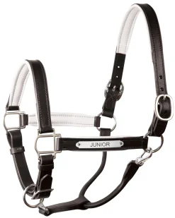 Clearance PERRIS LEATHER Perri’s® 1