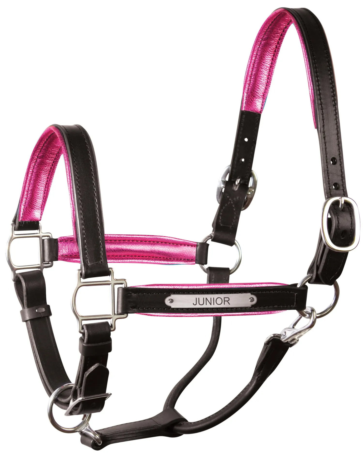 Clearance PERRIS LEATHER Perri’s® 1" Padded Leather Halter with Nameplate