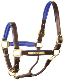 Clearance PERRIS LEATHER Perri’s® 1