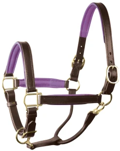 Online PERRIS LEATHER Perri’s® 1" Padded Leather Halter