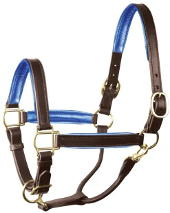 Online PERRIS LEATHER Perri’s® 1