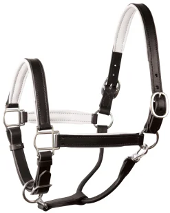 Online PERRIS LEATHER Perri’s® 1