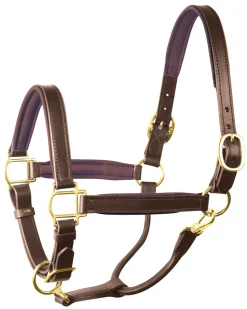 Online PERRIS LEATHER Perri’s® 1