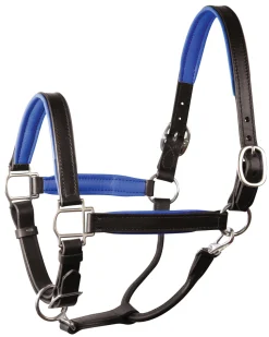 Online PERRIS LEATHER Perri’s® 1