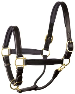Online PERRIS LEATHER Perri’s® 1
