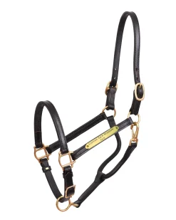 PERRIS LEATHER Perri’s® 3/4" Premium Leather Show Halter with Nameplate