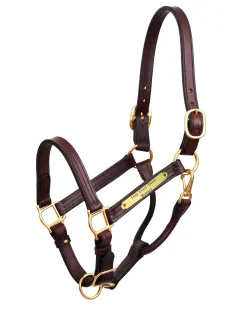 Clearance PERRIS LEATHER Perri’s® 1" XL Stallion Premium Leather Show Halter with Nameplate