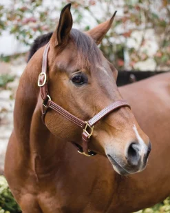 Discount PERRIS LEATHER Perri’s® Horse Professional Show Halter