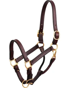 Discount PERRIS LEATHER Perri’s® Horse Professional Show Halter