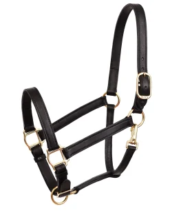 PERRIS LEATHER Perri’s® Leather Turnout Draft Halter
