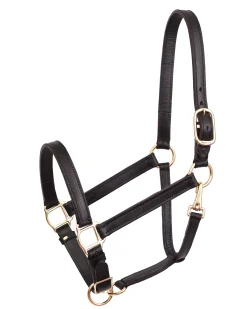 PERRIS LEATHER Perri’s® Leather Turnout Draft Halter