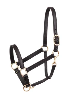 Hot PERRIS LEATHER Perri’s® Leather Turnout Halter