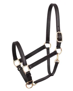 New PERRIS LEATHER Perri’s® Leather Turnout Yearling Halter Havana