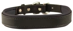 Best PERRIS LEATHER Perri’s® Padded Leather Nameplate Dog Collar