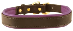 Best PERRIS LEATHER Perri’s® Padded Leather Nameplate Dog Collar