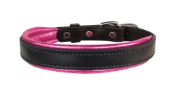 Best PERRIS LEATHER Perri’s® Padded Leather Nameplate Dog Collar