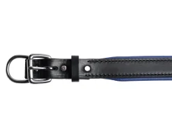 Best PERRIS LEATHER Perri’s® Padded Leather Nameplate Dog Collar