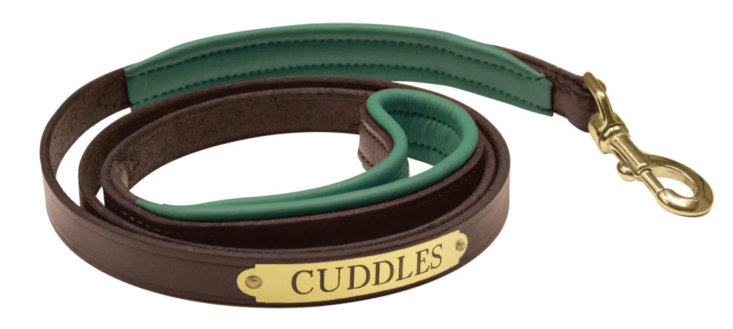 Discount PERRIS LEATHER Perri’s® Padded Leather Nameplate Dog Leash