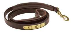 Discount PERRIS LEATHER Perri’s® Padded Leather Nameplate Dog Leash