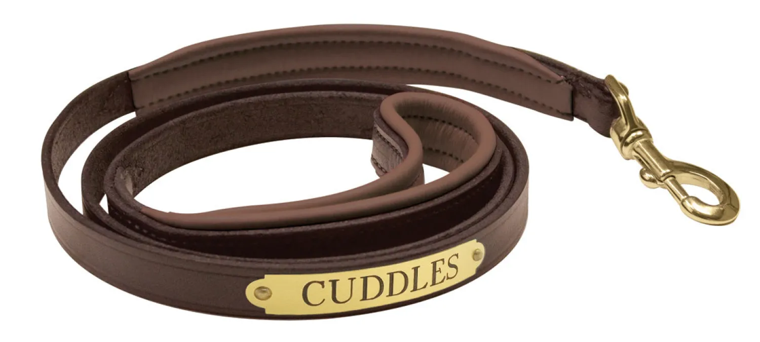 Discount PERRIS LEATHER Perri’s® Padded Leather Nameplate Dog Leash
