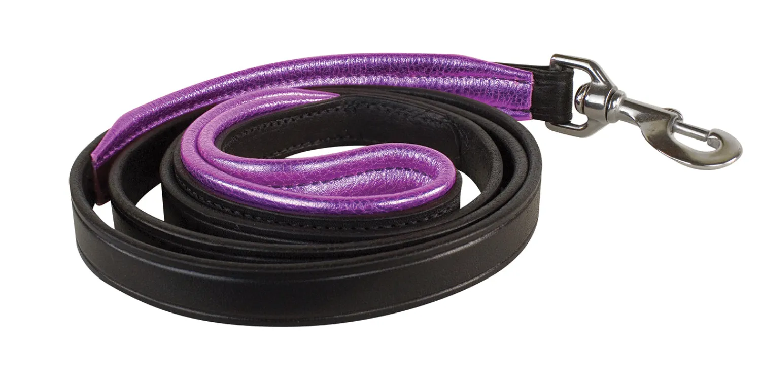 Discount PERRIS LEATHER Perri’s® Padded Leather Nameplate Dog Leash
