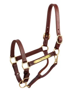 Hot PERRIS LEATHER Perri’s® Premium 1" Leather Show Halter with Nameplate