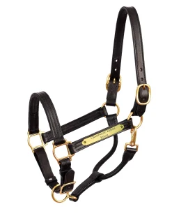 Hot PERRIS LEATHER Perri’s® Premium 1" Leather Show Halter with Nameplate
