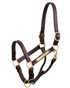 Hot PERRIS LEATHER Perri’s® Premium 1