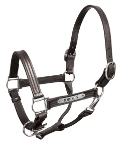 Hot PERRIS LEATHER Perri’s® Premium 1