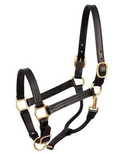 Outlet PERRIS LEATHER Perri’s® Premium Leather XL Show Halter