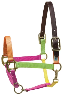 PERRIS LEATHER Perri’s® Premium Nylon Breakaway Halter