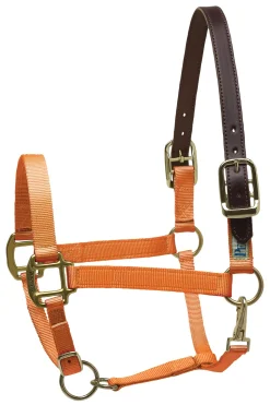 PERRIS LEATHER Perri’s® Premium Nylon Breakaway Halter