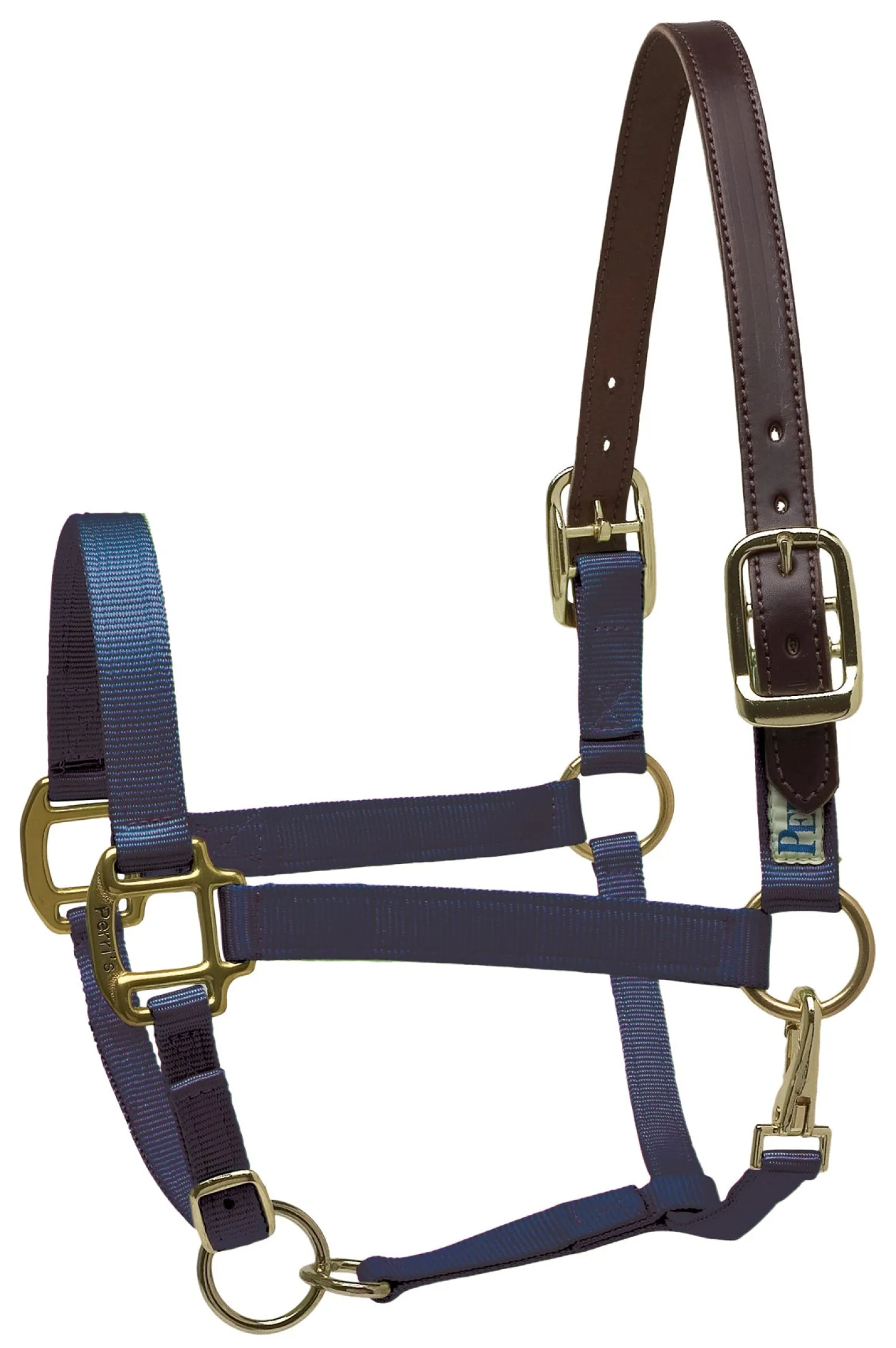 Sale PERRIS LEATHER Perri’s® Premium Nylon Safety Halter with Nameplate