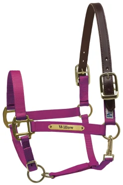 Sale PERRIS LEATHER Perri’s® Premium Nylon Safety Halter with Nameplate
