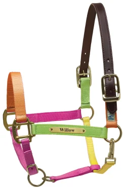 Sale PERRIS LEATHER Perri’s® Premium Nylon Safety Halter with Nameplate