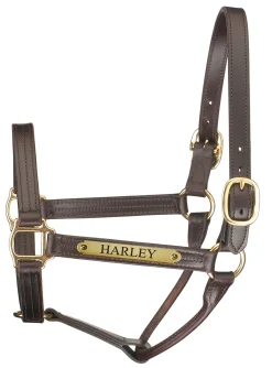 Discount PERRIS LEATHER Perri’s® Premium Track Style Leather Show Halter with Nameplate Havana