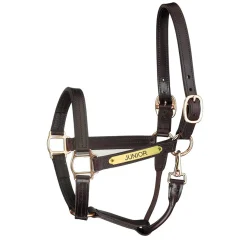 Sale PERRIS LEATHER Perri’s® Premium Track Style Leather Show Halter with Snap & Nameplate Havana