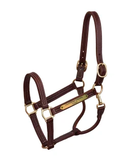 Clearance PERRIS LEATHER Perri’s® Professional Halter with Nameplate