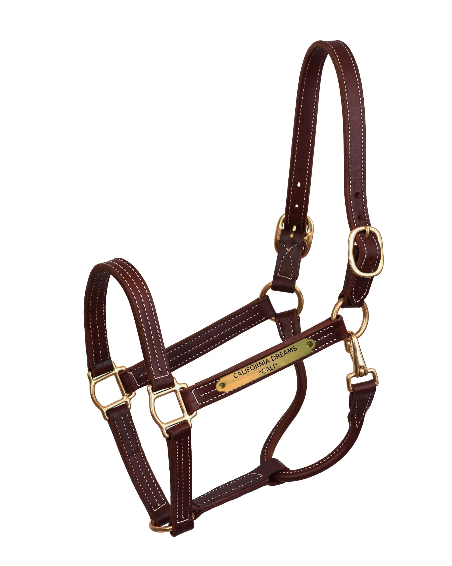 Clearance PERRIS LEATHER Perri’s® Professional Halter with Nameplate