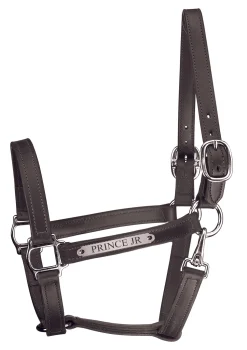 New PERRIS LEATHER Perri’s® Track Style Leather Turnout Halter with Snap Throat and Nameplate