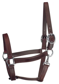 Hot PERRIS LEATHER Perri’s® Track Style Turnout Halter with Snap