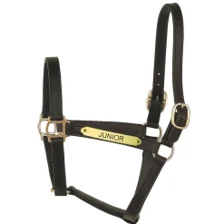 Hot PERRIS LEATHER Perri’s® Track Style Turnout Halter with Snap