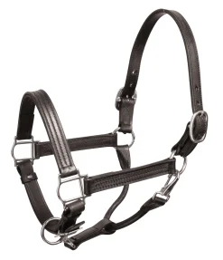 Outlet PERRIS LEATHER Perri’s® Premium Leather Show Halter