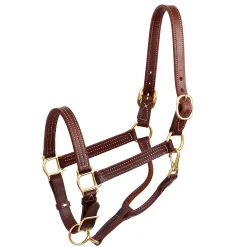 Outlet PERRIS LEATHER Perri’s® Premium Leather Show Halter